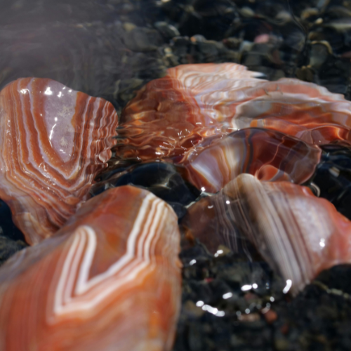 Crazy Lace (Mexican) Agate